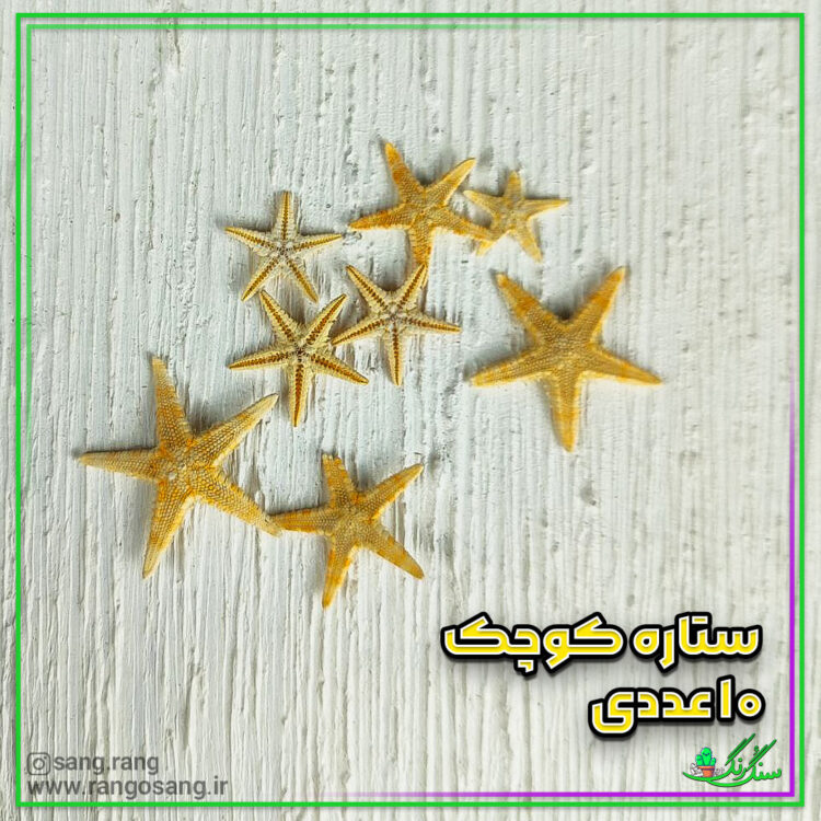 ستاره دریایی طبیعی وارداتی سایز کوچک 10 عددی