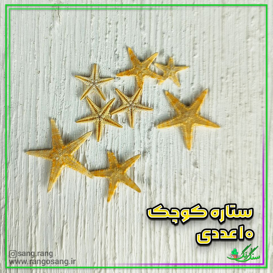 ستاره دریای