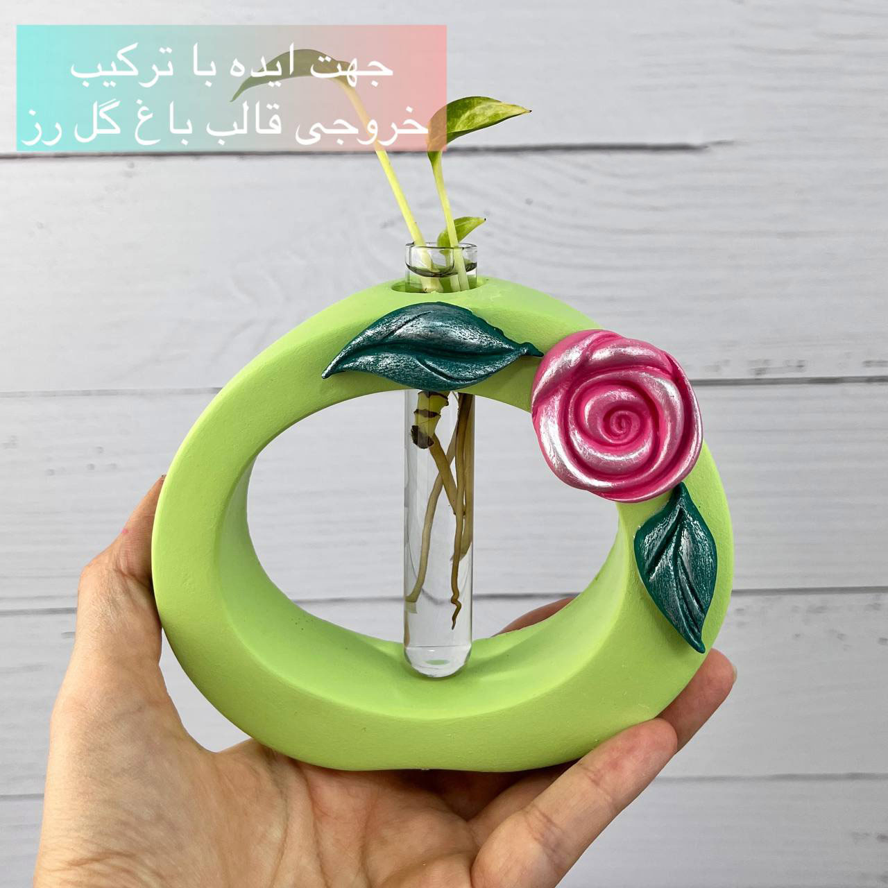 قالب سیلیکونی گلجا گرد